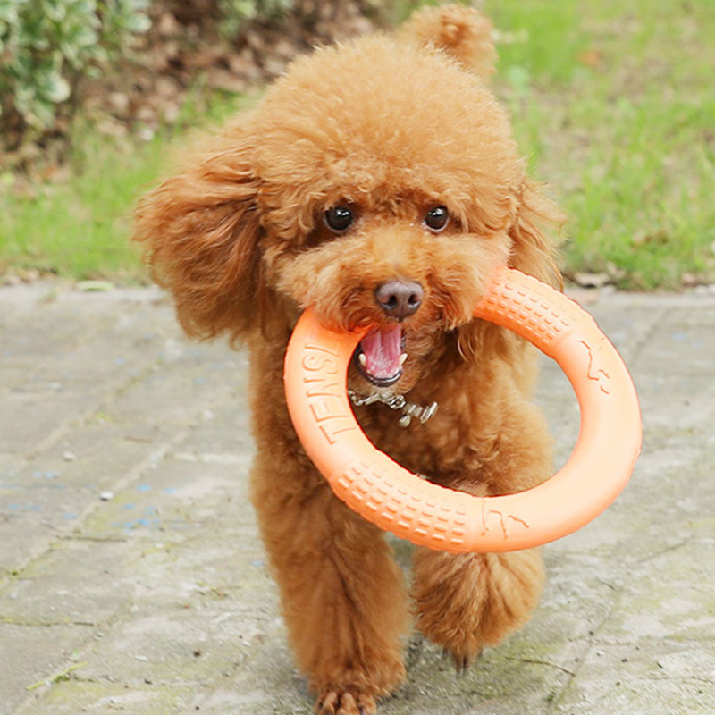 1 szt. Pomarańczowy zabawki dl – Indestructible Dog Chew Toy recenzja i cena