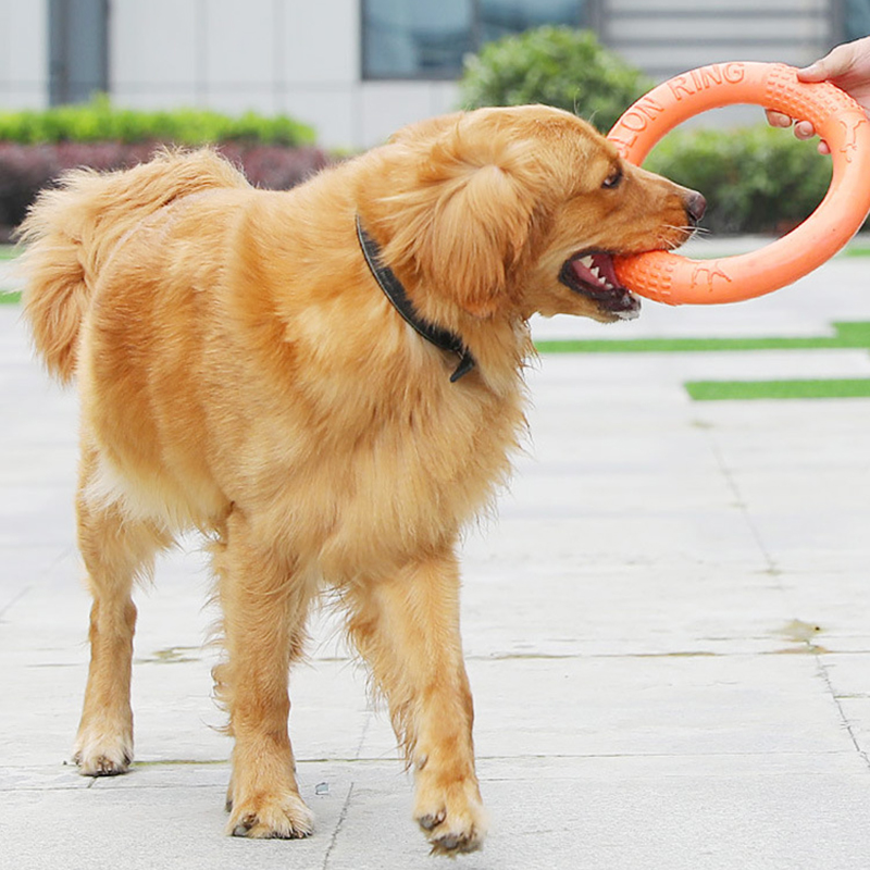 1 szt. Pomarańczowy zabawki dl – Indestructible Dog Chew Toy recenzja i cena