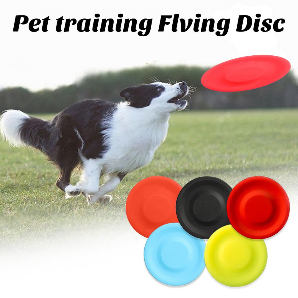 Zabawka z latającym dyskiem dl – Flying Disc Dog Training Toy recenzja i cena