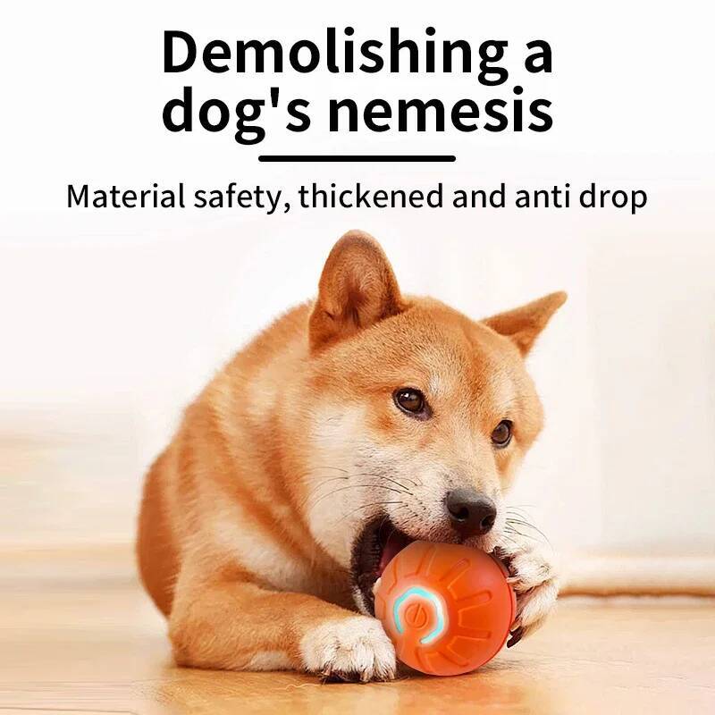 Inteligentna piłka dla psa, el – Indestructible Dog Chew Toy recenzja i cena